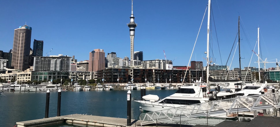 What should Auckland’s next mayor do?